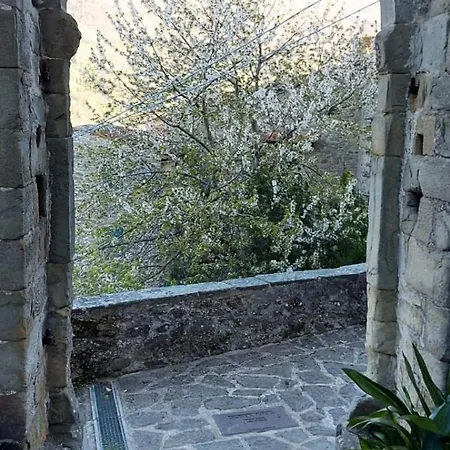 Petite Maison